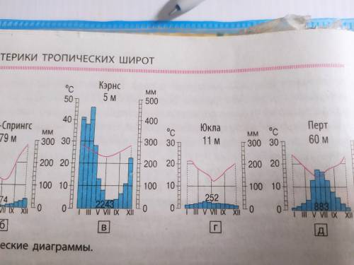 ОПИШИТЕ ДИАГРАММЫ (в,г) :