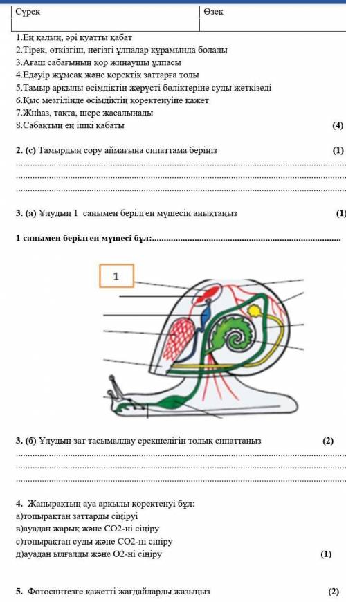 те кто за спамет всеравно уйдут в бан​