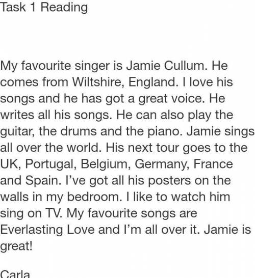 1 Where does Jamie come from? 2 What does he do?3 What musical instruments can he play?4 What countr