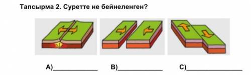 Что показано на рисунке, укажите его название. ​