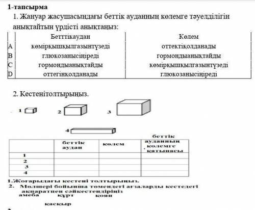 биология 10 сынып 2 токсан 1 бжб