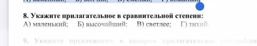 8. Укажите прилагательное в сравнительной степени: А) маленький; Б) высочайший; В) светлее; Г) тихий