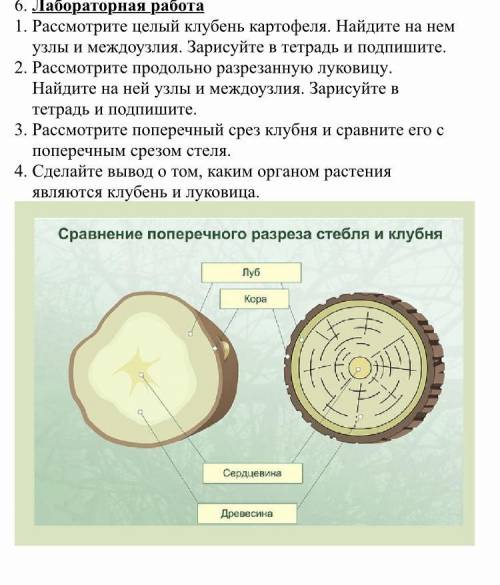 ЛАБОРАТОРНАЯ РАБОТА ПО БИОЛОГИИ