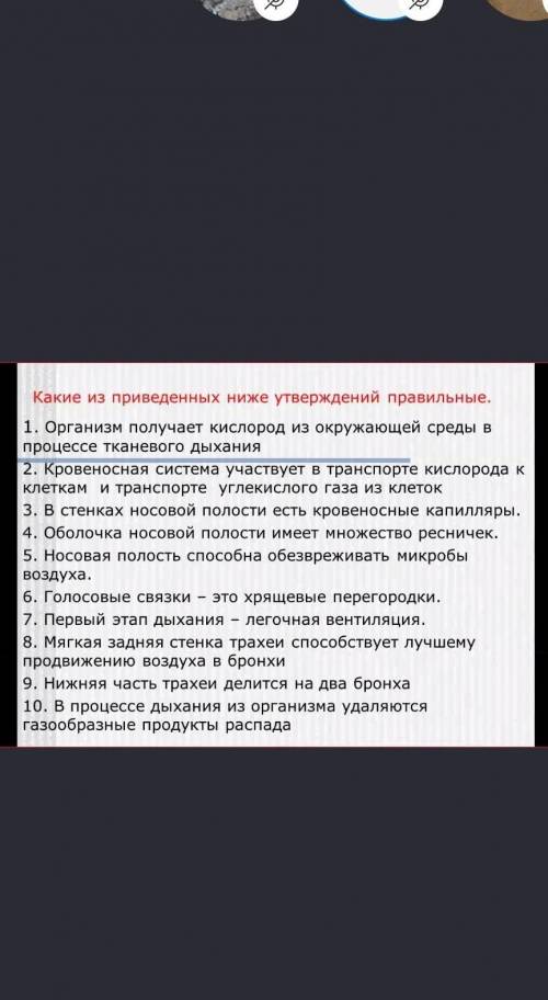 Какие здесь правильные