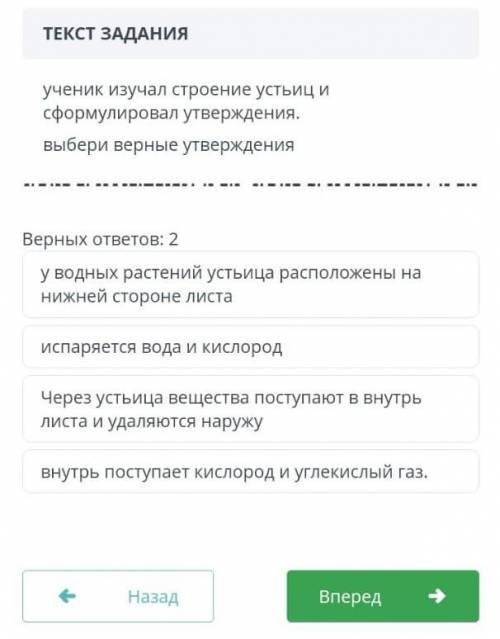 ТЕКСТ ЗАДАНИЯ ученик изучал строение устьиц и сформулировал утверждения. выбери верные утверждения В