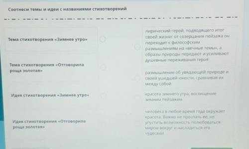 Соотнеси темы и идеи с названиями стихотворений Тема стихотворения «Зимнее утро»лирический герой, по