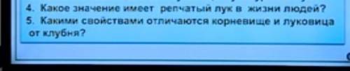 разобраться в этих вопросах