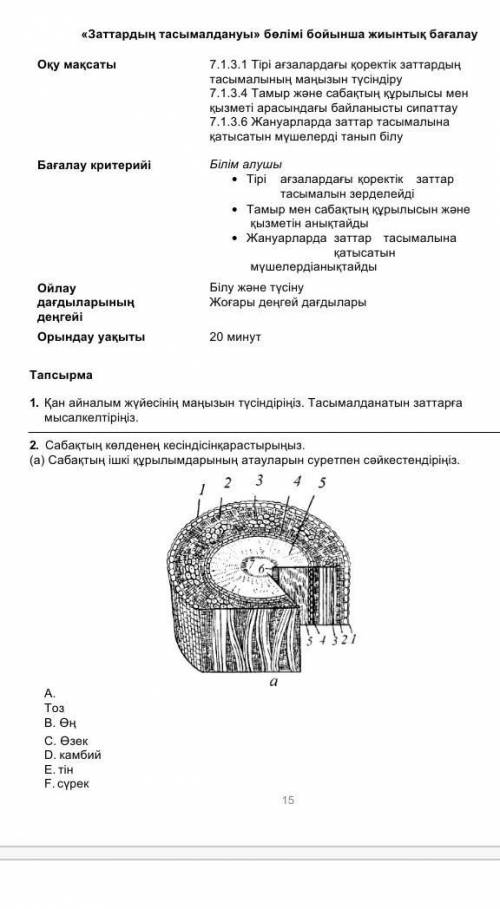 2. Сабақтың көлденең кесіндісінқарастырыңыз . ( а ) Сабақтың ішкі құрылымдарының атауларын суретпен