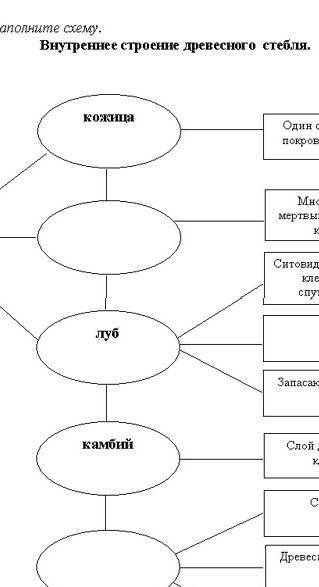 Скажите ответ таблицы​