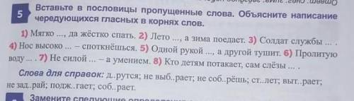 (можете писать кратко) 1) стелить 2) и т.д ​