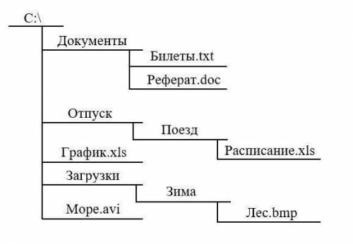 Запишите (в ОС Windows) полное имя графического файла, размещённого на диске, файловая структура кот