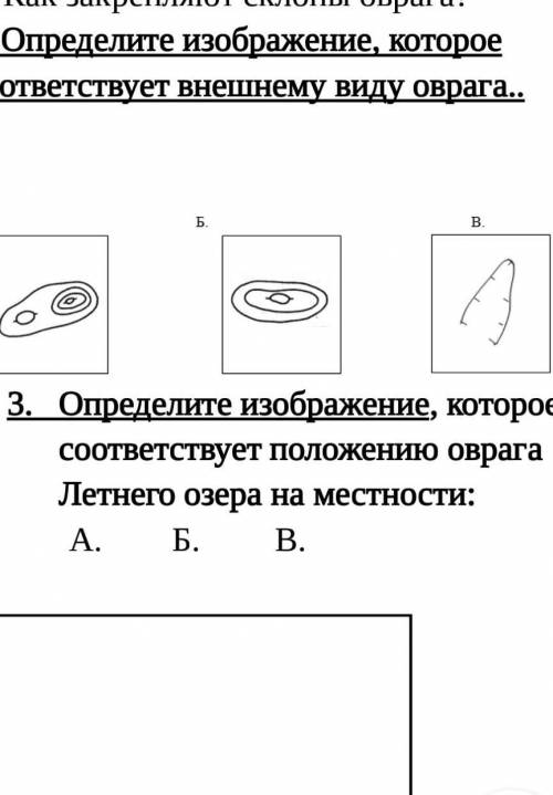 А. .Назовите внешние силы, которые влияют на формирование оврага. Как это влияние проявляется? Б. Ка