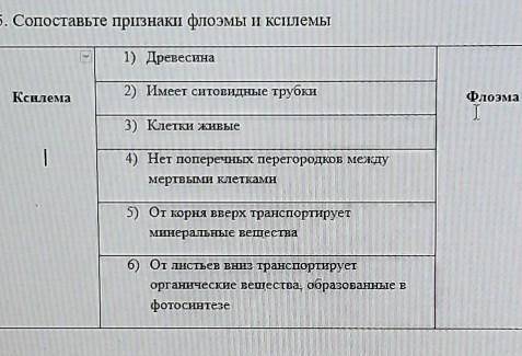 Биология СОПОСТАВЬТЕ ПРИЩНАКИ ФЛОЭМЫ И КСИЛЕМЫ​