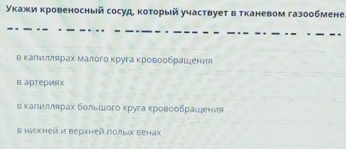 Укажи кровеносный сосуд, который участвует в тканевом газообмене?​