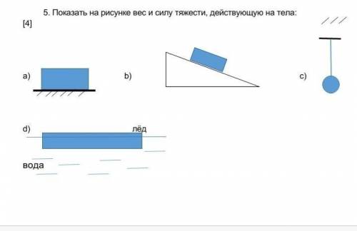 Показать на рисунке вес и силу тяжести, действующую на тела: ​