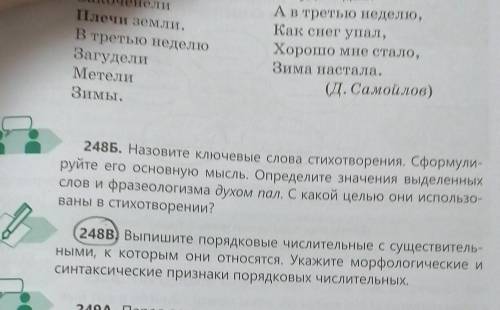 248B) Выпишите порядковые числительные с существитель ными, к которым они относятся. Укажите морфоло