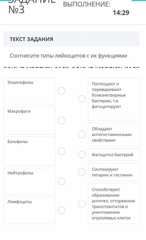 Соотнесите типы лейкоцитов с их функциями​