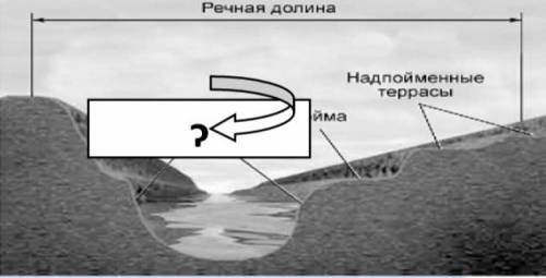 Задание № 4 Геоморфологические элементы русло, пойма, террасы, дельта образуют линейно- вытянутое по