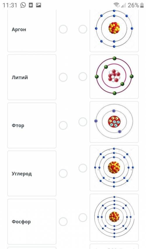 Установите соответствие между химическим элементом и строением атома​