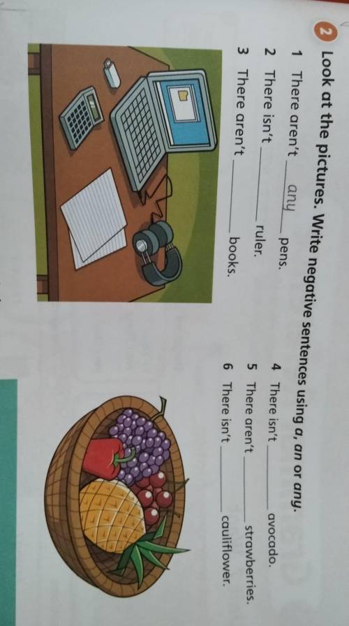 2. Look at the pictures. Write negative sentences a, an or any. 1. There aren't any pens. ​