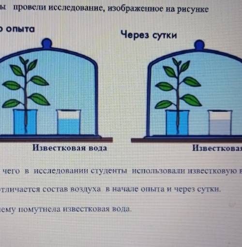 А) Объясните Для чего в исследовании студента использовали известковую воду. б)Опишите Какие отличия