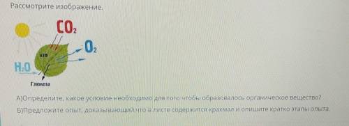 Рассмотрите изображение, СО,0,АТФГлюкозаА)Определите, какое условие необходимо для того чтобы образо