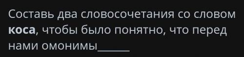 Составь два словосочетания со словом коса,чтобы было понятно,сто перед нами омонимы​