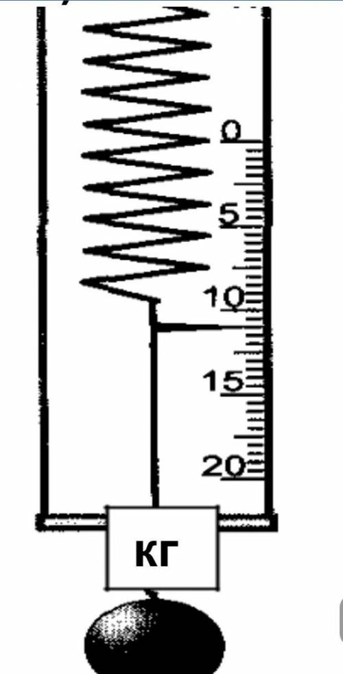 7. Первоначальная длина пружины без груза 12 см. После того, как был подвешен груз, длина пружины ст