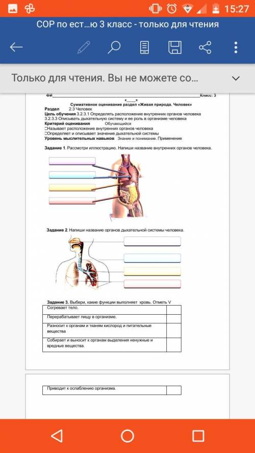 СОР ПО ЕСТЕСТВОЗНАНИЮ