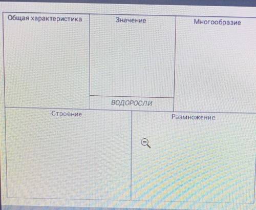 Общая характеристика ЗначениеМногообразиеВОДОРОСЛИСтроениеРазмножениеe помагите люди!​