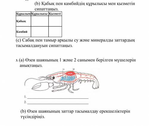 биологиядан комектесиндерши