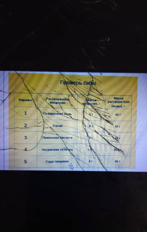 Проверь себя! ВариантРастворенноевеществоMactaаристваMaccaрастворителя(воды), г1Поваренная сеть45 г2