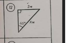 Нужно определить x в треугольнике.