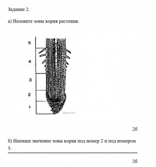 Задание 2. Биология. ​