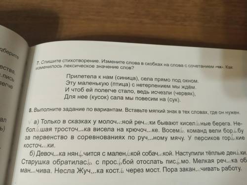 Спишите стихотворение. Измените слова в скобках . Измените слова в скобках на слова с сочетанием -чк