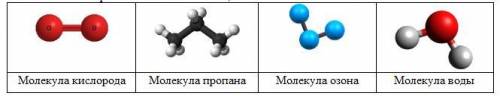 Дан рисунок: модели молекул кислорода, пропана, озона, воды. Напишите, какие вещества относятся к пр