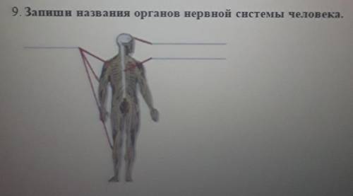 РЕБЯТА ОЧЕНЬ сор должна сдать через 10 минут​