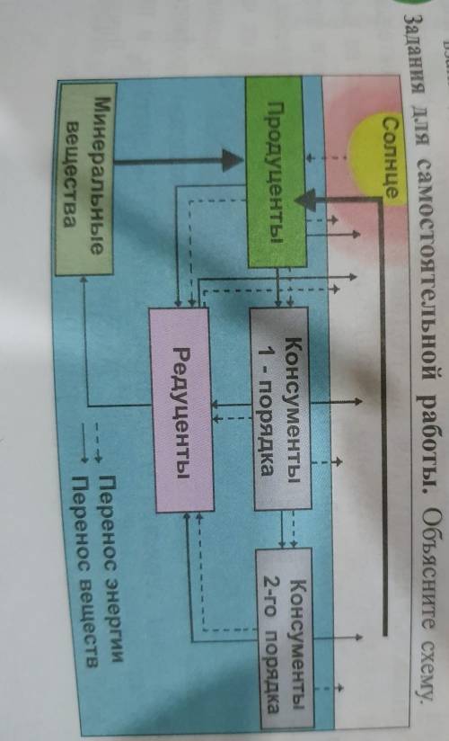 Задания для самостоятельной работы. Объясните схему. СолнцеПродуцентыКонсументы1 - порядкаКонсументы