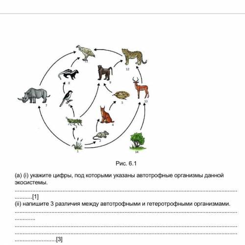 6. На рисунке 6.1. показана пастбищная экосистема. Рис. 6.1 (а) () укажите цифры, под которыми указа