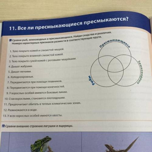 с заданием по биологии. Нужно сделать первое задание. Буду очень благодарна!