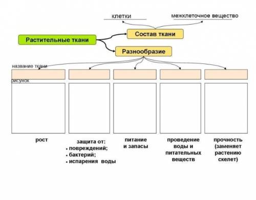 Биология 5 класс! Заполните таблицу!