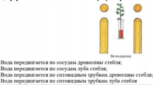 Расмотрите рисунок.Определите,что было доказано с данного опыта