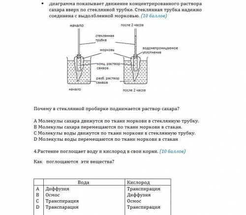 Биология 11 класс, заранее