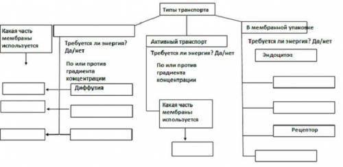 Посмотрите видео изучите теоретический материал и заполните схему сделать, как сделаете сразу дам лу