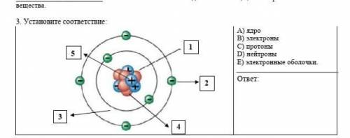 3. Установите соответствие: А) ядроB) электроныС) протоныD) нейтроныE) электронные оболочкиответ: У