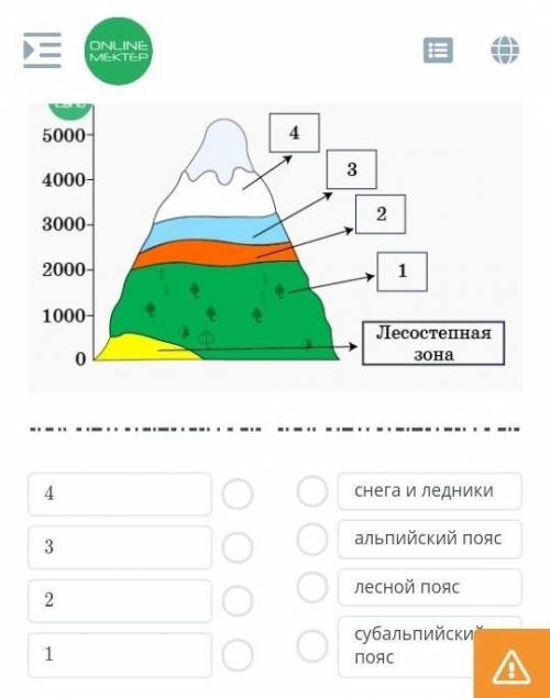 подножье гор Восточного Казахстана начинается с лесостепной зоны.Расположи далее высотные пояса в по