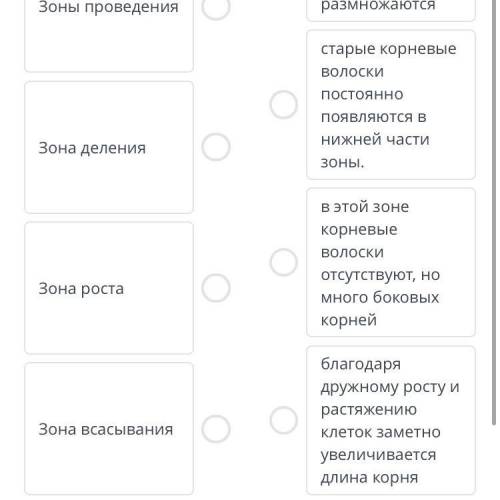 Установить соответствие. эти клетки постоянно. Зона проводимости увеличивается. В нижней части зоны