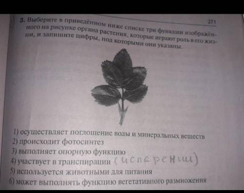 3. в приведённом инже три функции изображен: ного на рисунке органа растения, которые жиз пи, и запи