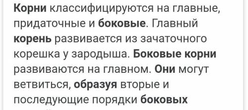 как образуютмя боковые корн,и какую функцию они выполняют ? если не знаете нетотвечать!ответ по длин