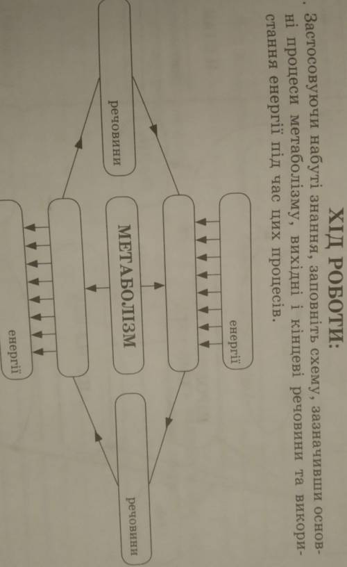 Застосовуючи набуті знання, заповніть схему, зазначивши основ ні процеси метаболізму, вихідні і кінц